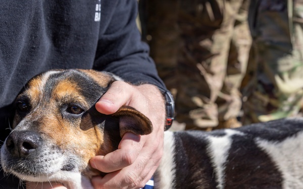 U.S. Soldiers of the NATO Forward Land Forces Battle Group-Poland award Chico the dog