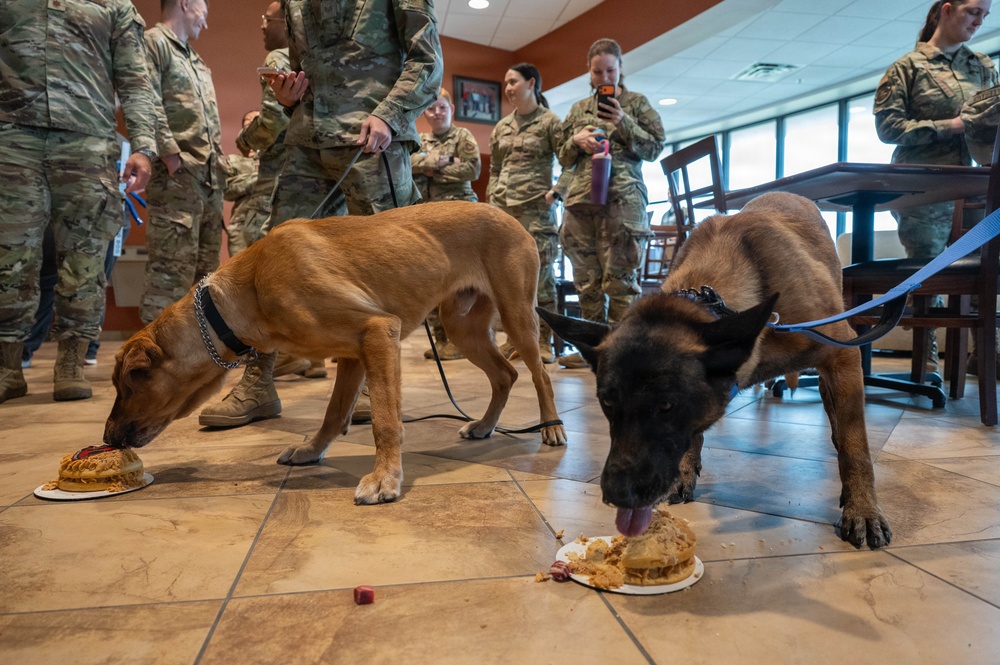 Dyess AFB honors retiring MWDs Baker and Dduco