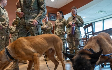 Dyess AFB honors retiring MWDs Baker and Dduco