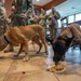 Dyess AFB honors retiring MWDs Baker and Dduco