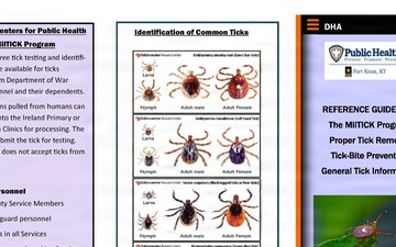 Ticks: How to avoid them and what to do if bitten