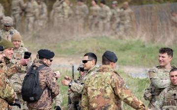 U.S. Soldiers from the 1st Squadron, 2d Cavalry Regiment, 809th Multi-Role Bridge Company, 15th Engineering Battalion, alongside Polish and Italian Armed Forces conduct a wet gap crossing