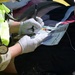 Kirtland AFB SOAR Exercise 377th Medical Group Field Training