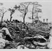Remembering Robert E. Bush: How a Navy Corpsman earned the Medal of Honor at Okinawa