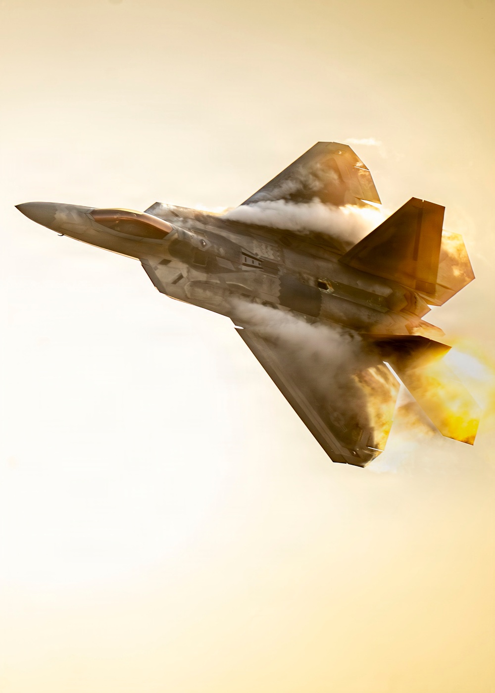 Air Force F-22 Raptor Demonstration at NAS Meridian