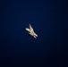 F-35A Demonstration Team @ FIDAE