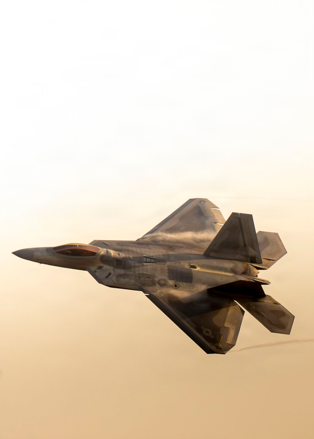 Air Force F-22 Raptor Demonstration at NAS Meridian