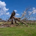Sinlaku leaves Damage and Debris Across Tinian