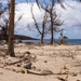 Sinlaku leaves Damage and Debris Across Tinian