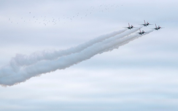 The Great Texas Airshow 2026