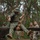 Allied and Partner Forces Conduct a Obstacle Course at Schofield Barracks