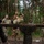 Allied and Partner Forces Conduct a Obstacle Course at Schofield Barracks