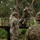 Allied and Partner Forces Conduct an Obstacle Course at Schofield Barracks