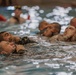 Fox Company Water Survival