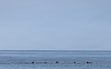 22nd MEU (SOC) | Swim with Ecuadorian Marines