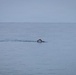 22nd MEU (SOC) | Swim with Ecuadorian Marines
