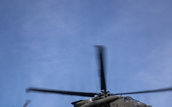 U.S. military and Panamanian partners strengthen MEDEVAC and casualty care skills during jungle training