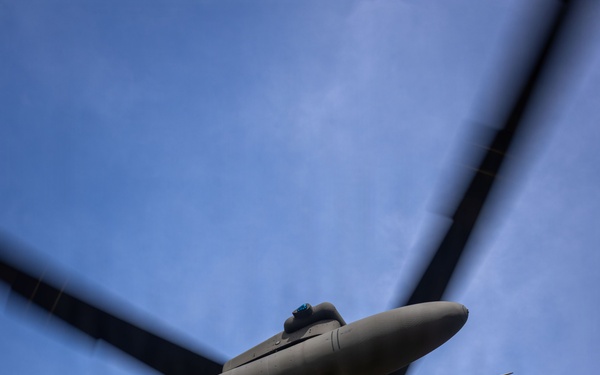 U.S. military and Panamanian partners strengthen MEDEVAC and casualty care skills during jungle training