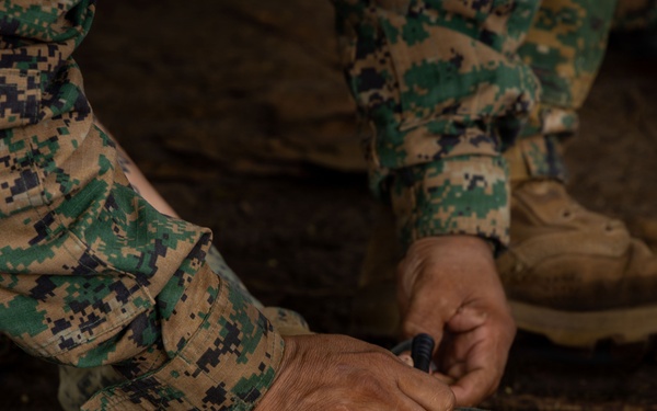 U.S. military and Panamanian partners strengthen MEDEVAC and casualty care skills during jungle training