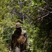International Soldiers Practice Land Navigation During PLFTRC