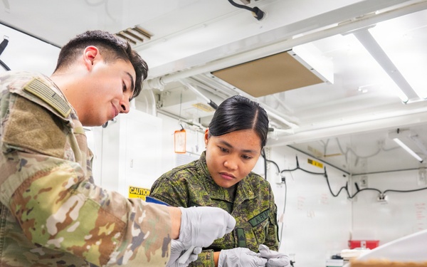 U.S., AFP Soldiers field test adaptive medical solutions