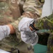 U.S., AFP Soldiers field test adaptive medical solutions