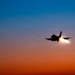 F-16 Fighting Falcons Takeoff
