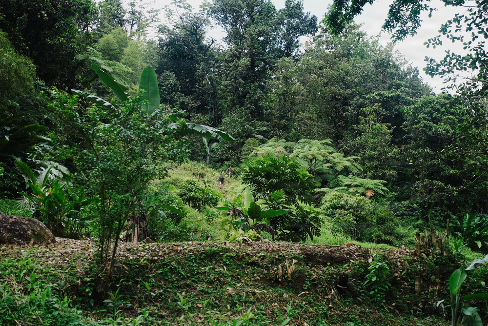 22nd MEU (SOC) | Tres Kolos 26: Jungle Run