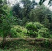 22nd MEU (SOC) | Tres Kolos 26: Jungle Run