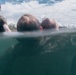 22nd MEU (SOC) | India Co. Open Water Swim Rescues