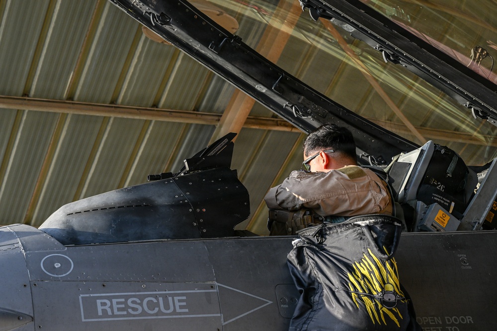 F-16 Fighting Falcon pilot conducts pre-flight inspections