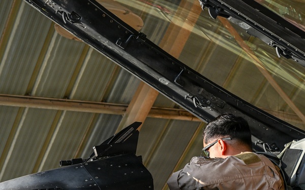 F-16 Fighting Falcon pilot conducts pre-flight inspections