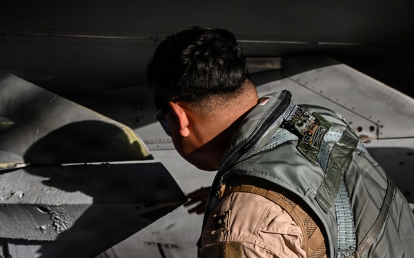 F-16 Fighting Falcon pilot conducts pre-flight inspections