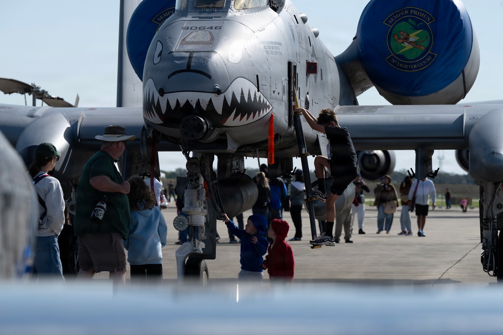 The Great Texas Airshow 2026