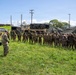Multinational Soldiers take on the Leadership Reaction Course at the 2026 Pacific Land Forces Team Readiness Challenge
