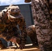 Multinational Soldiers take on the Leadership Reaction Course at the 2026 Pacific Land Forces Team Readiness Challenge