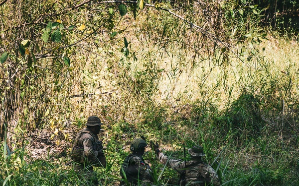 U.S. and Philippine Army Soldiers Execute Joint Jungle Patrol