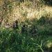 U.S. and Philippine Army Soldiers Execute Joint Jungle Patrol