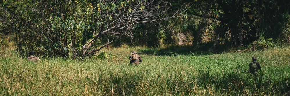 U.S. and Philippine Army Soldiers Execute Joint Jungle Patrol