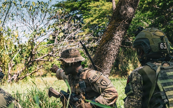 U.S. and Philippine Army Soldiers Execute Joint Jungle Patrol