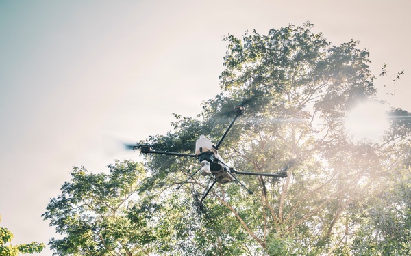 U.S. and Philippine Army Soldiers Execute Joint Jungle Patrol