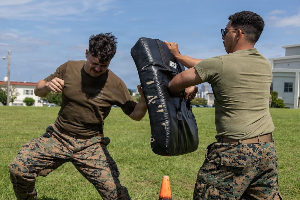 Marines and Japanese Security Guards conduct OC Spray training at Camp Foster