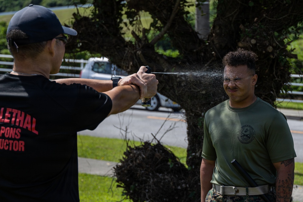 Marines and Japanese Security Guards conduct OC Spray training at Camp Foster