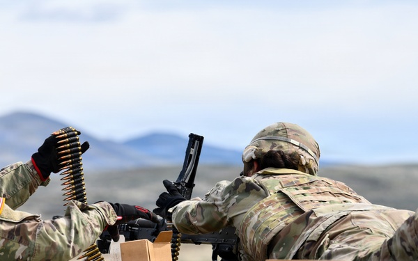 2nd Battalion, 146th Field Artillery Regiment conduct equipment maintenance and field training during exercise Operation Courage Lethality.