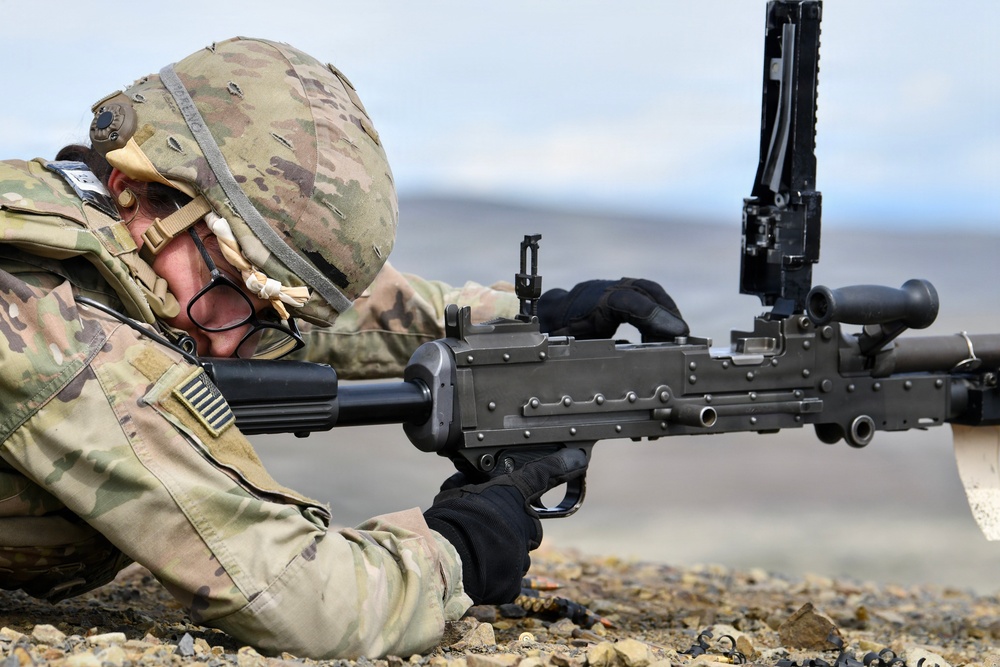 2nd Battalion, 146th Field Artillery Regiment conduct equipment maintenance and field training during exercise Operation Courage Lethality.