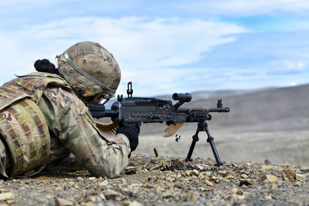 2nd Battalion, 146th Field Artillery Regiment conduct equipment maintenance and field training during exercise Operation Courage Lethality.