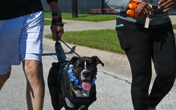 2026 Port Dawg Memorial Run 73rd APS