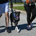 2026 Port Dawg Memorial Run 73rd APS
