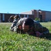 260th Special Purpose Brigade leadership participates in Army Combat Field Test at Joint Base Anacostia-Bolling