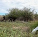 U.S. Marines, Salvadoran marines conduct personnel recovery training during CENTAM Guardian 2026